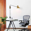 Swing Plug-in Wall Light – Brushed Brass Wall/Cieling Lamp NOVA of California   